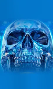 Crystal Skull